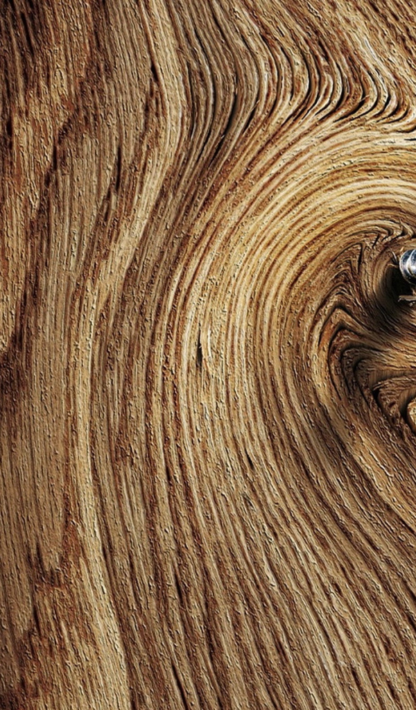 Саморез в доске