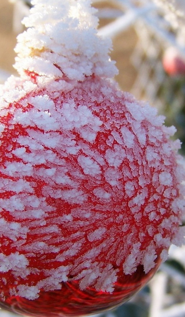 Оледеневший шар