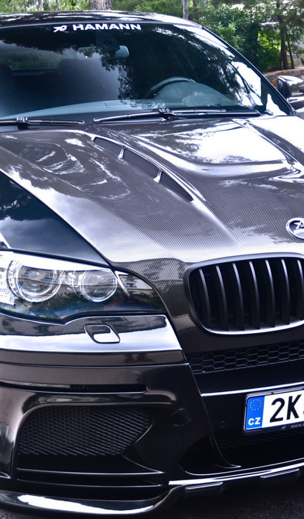 BMW X6 Hamann