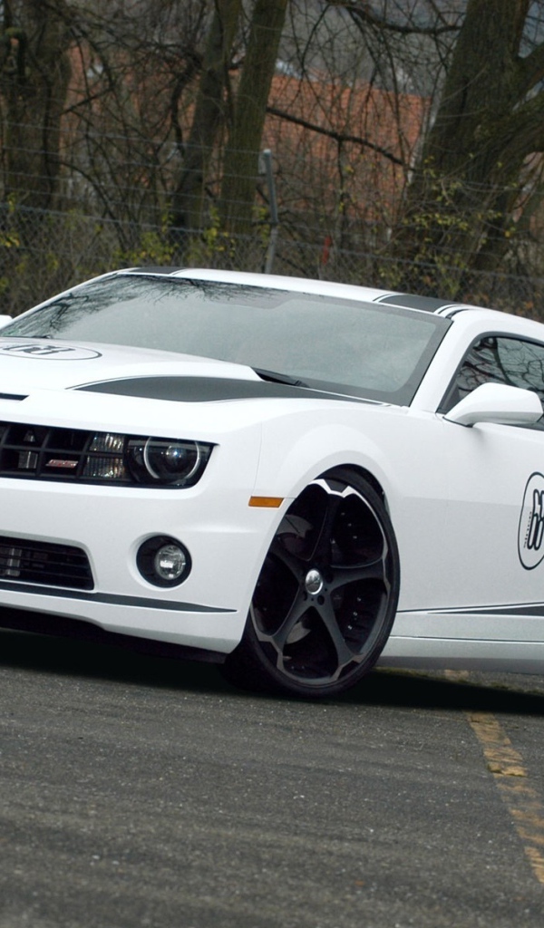 белый Chevrolet-Camaro