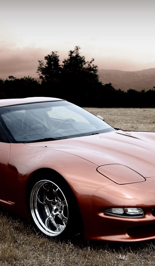 Chevrolet-Corvette-C5