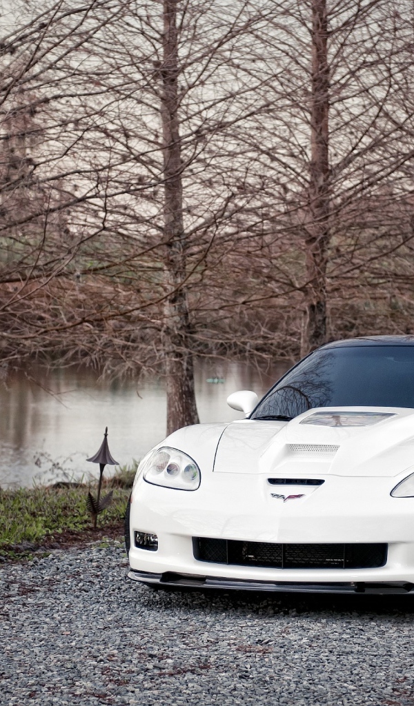Chevrolet-Corvette-ZR1