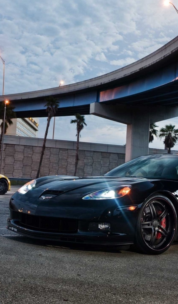Chevrolet Corvette Z06 под мостом