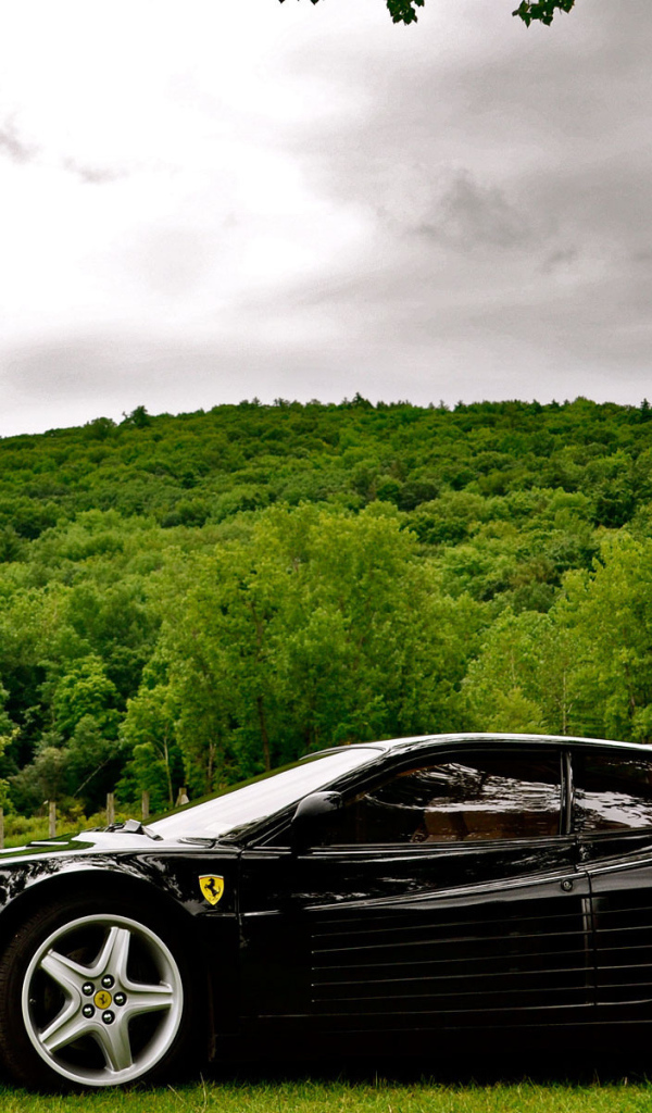 Ferrari черный