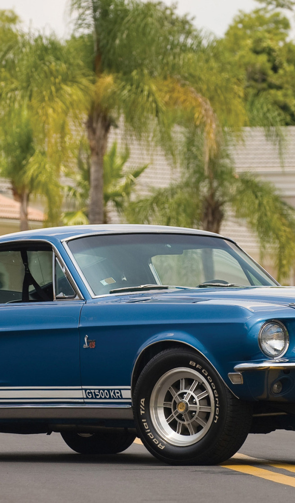 Mustang shelby gt 500 kr,  1968