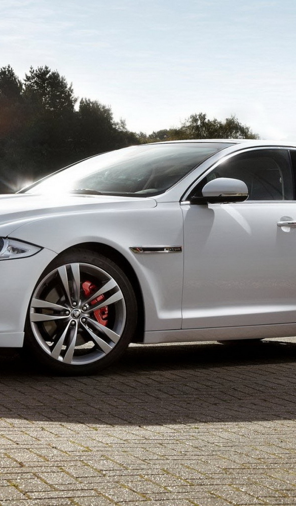 Jaguar-XJ Sport на солнце