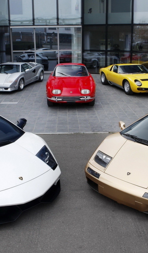 Different Lamborghinis