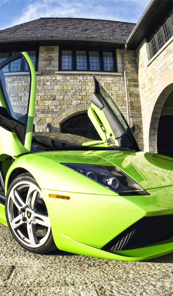 Lamborghini Murcielago, двери-крылья