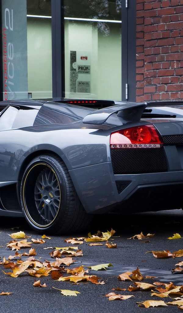 Lamborghini Murcielago вид сзади