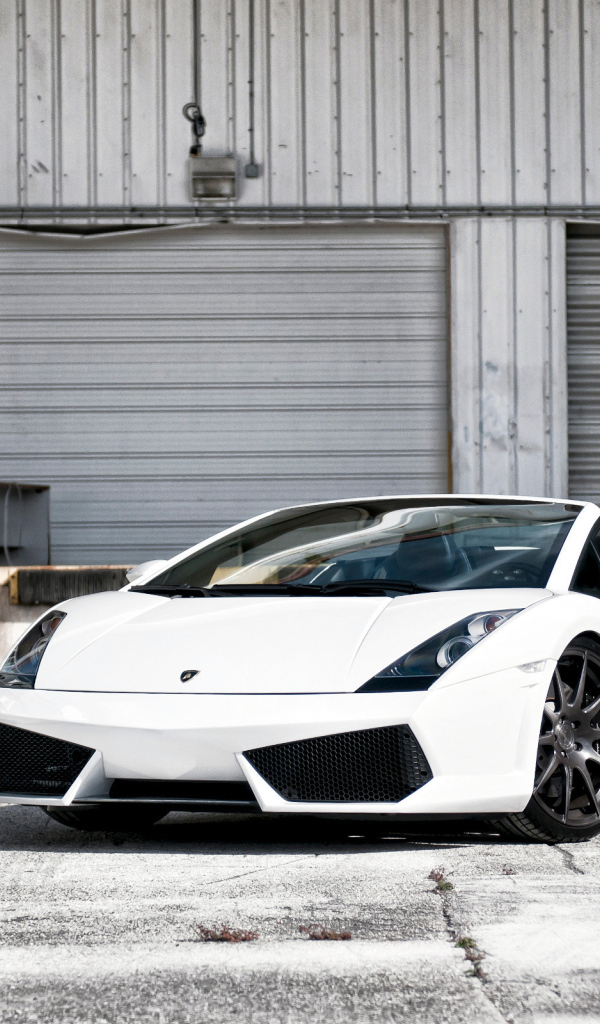 white Lamborghini Gallardo