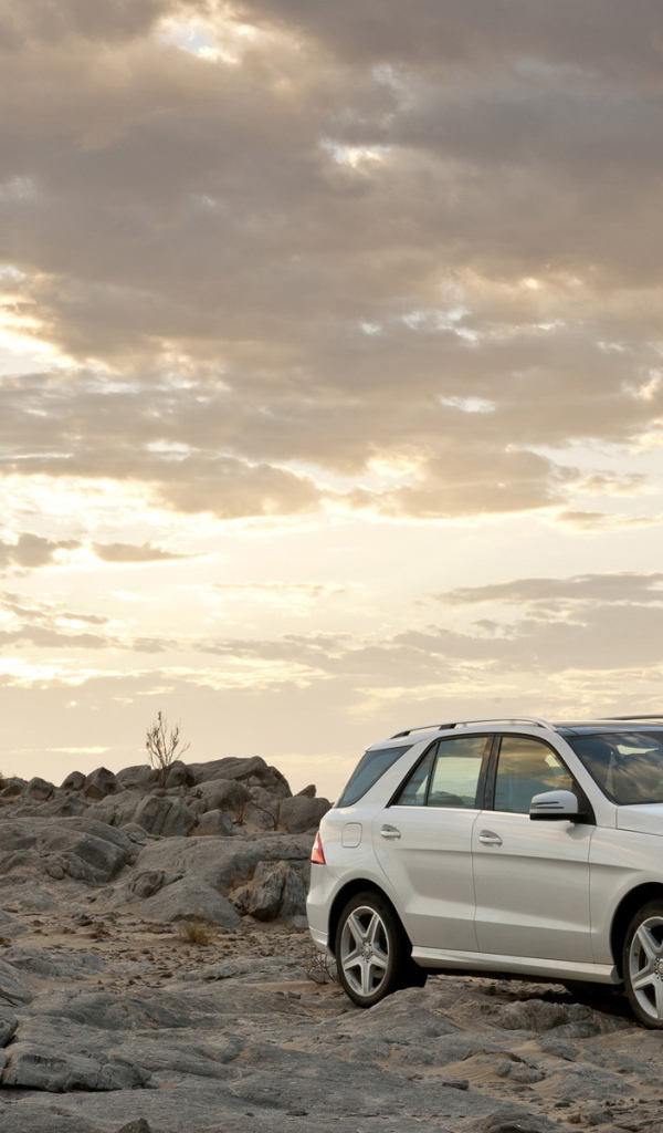 2012 Mercedes-Benz-M-Class