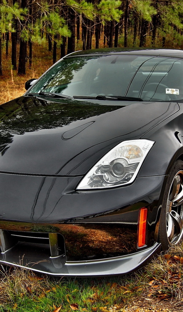 Nissan 350Z на обочине