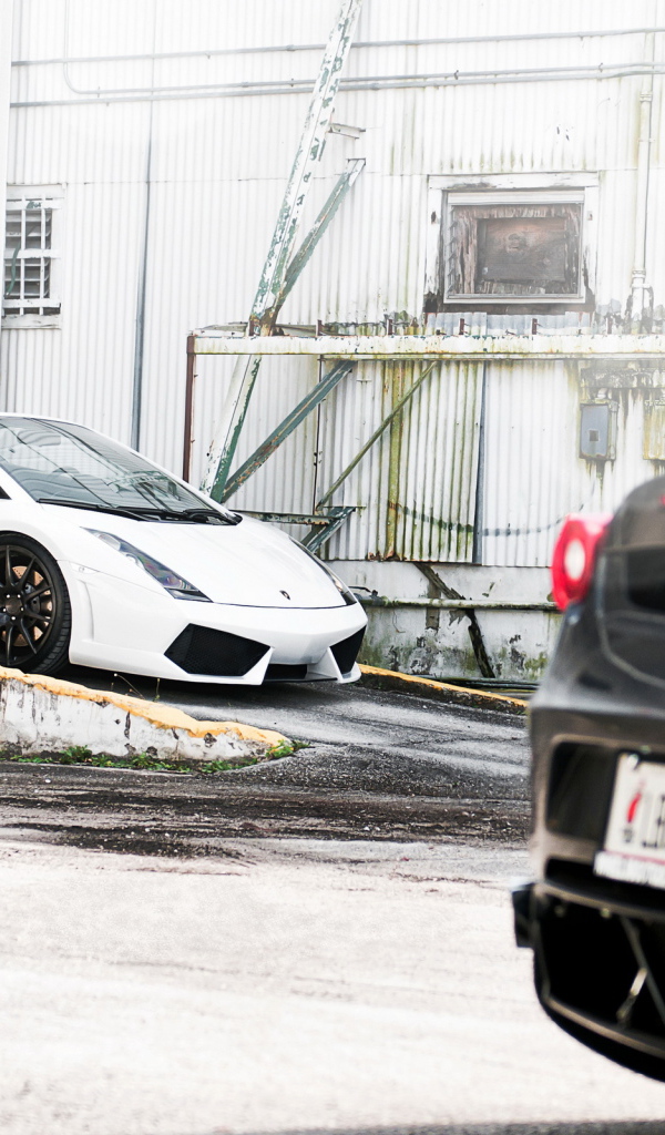 Lamborghini Gallardo and Ferrari