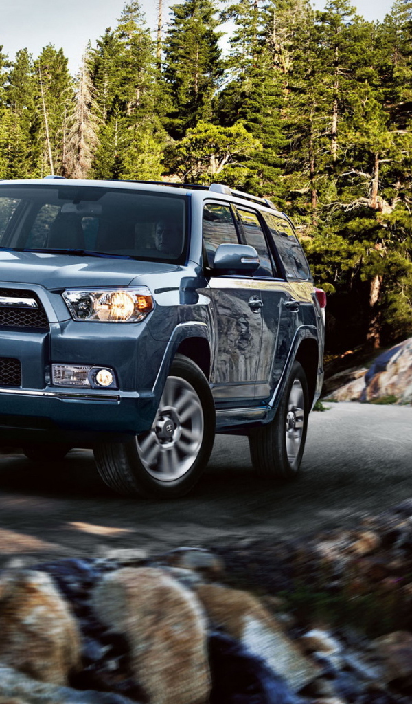 Toyota Runner Limited 03