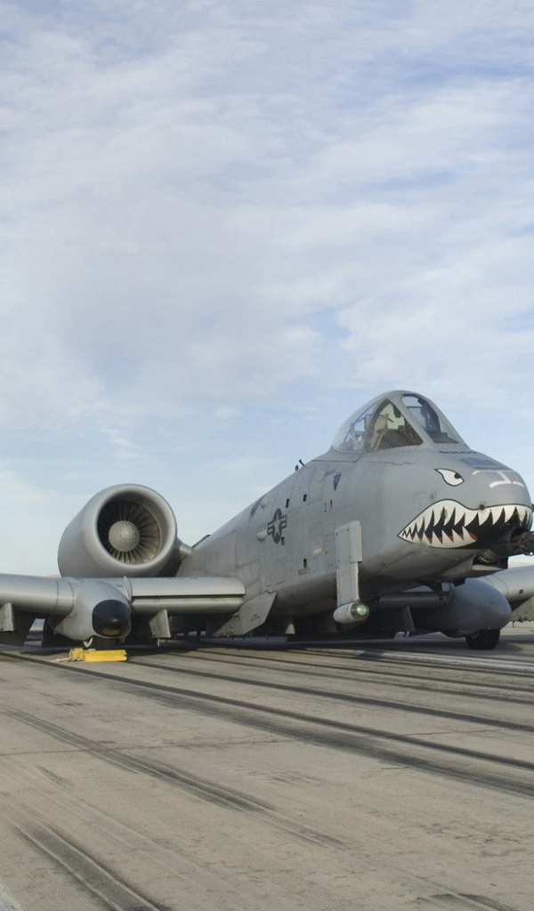 Штурмовик А 10