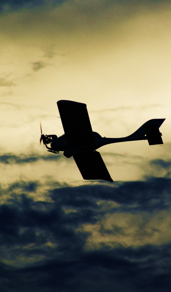 Самолет в небе