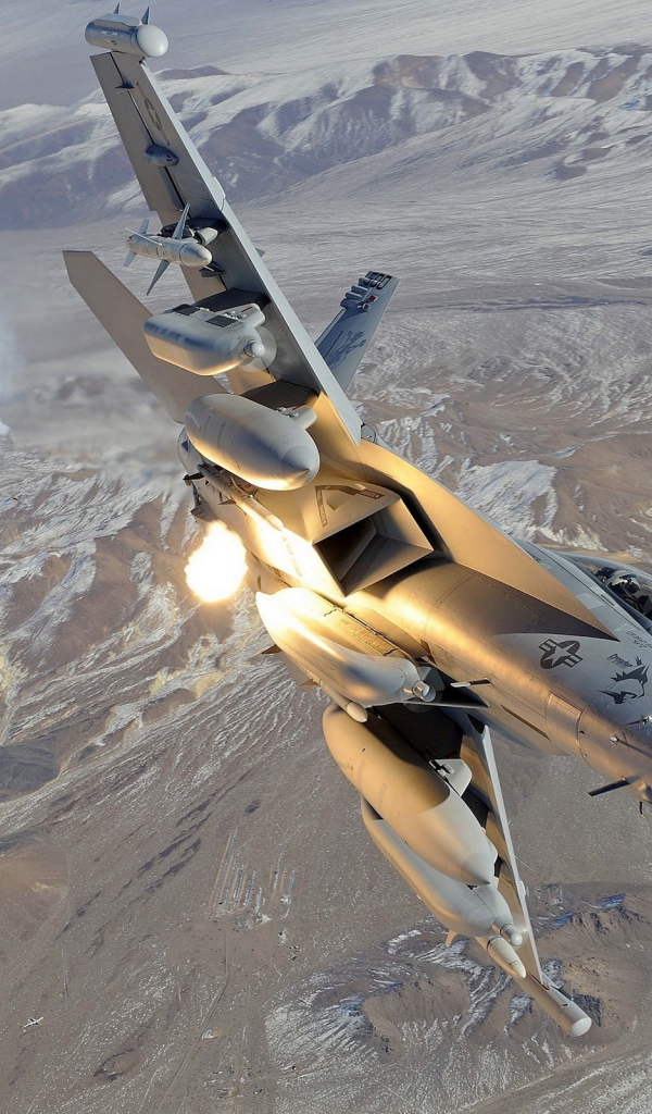 F-18 Hornet