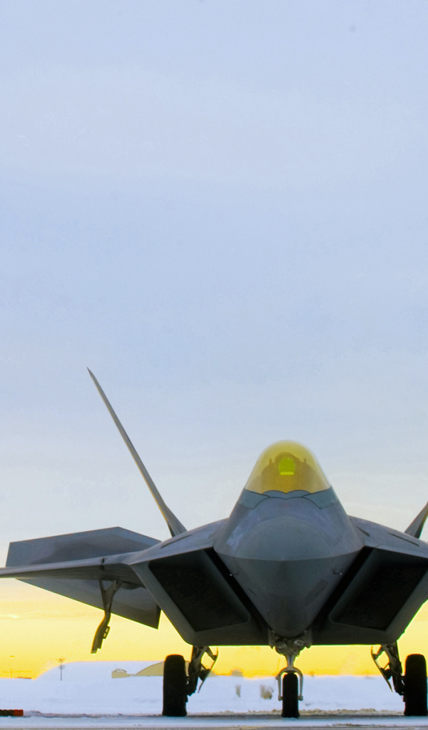 F22 Raptor