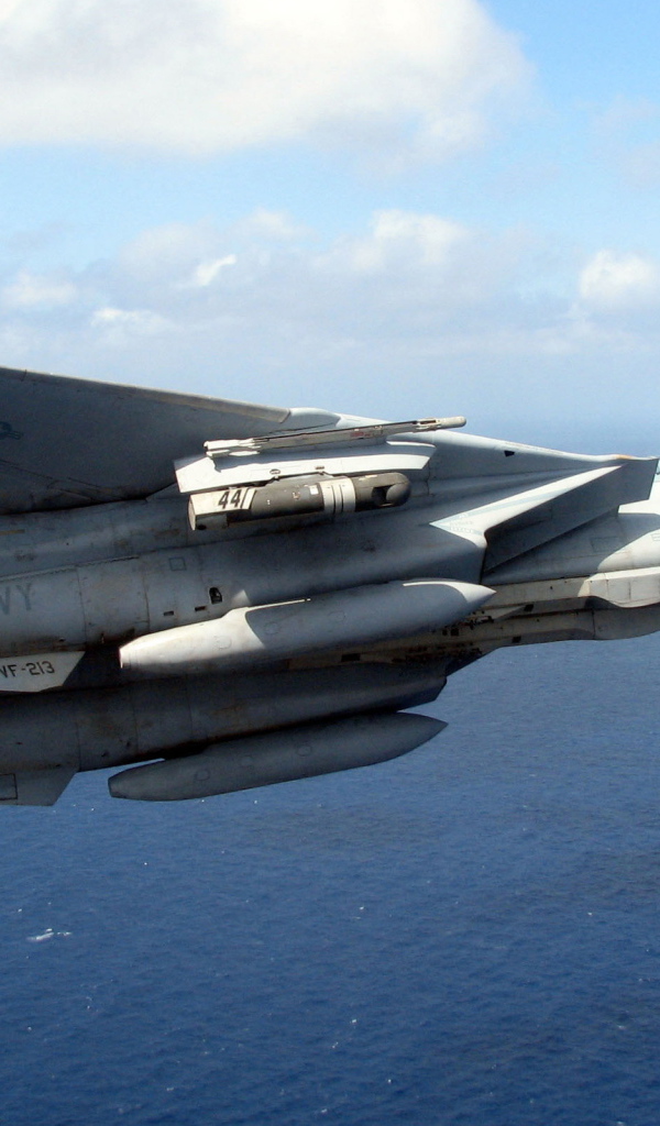 Grumman F-14 Tomcat