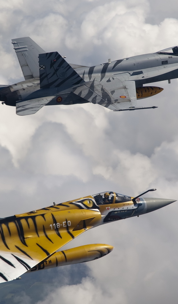 McDonnell Douglas FA-18 и Mirage 2000