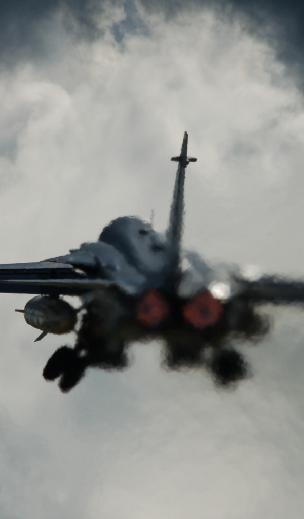 СУ-24 в облаках