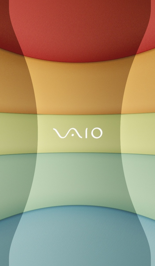 vaio