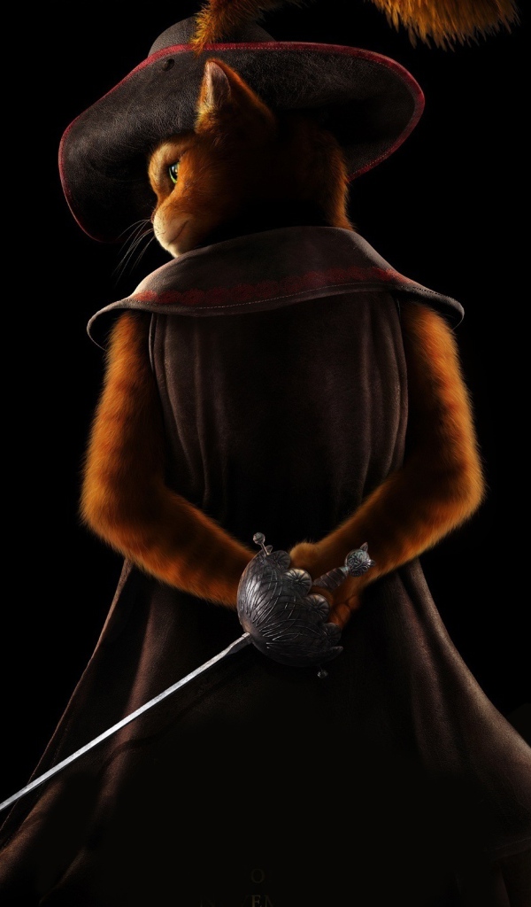 Кот в сапогах 2011