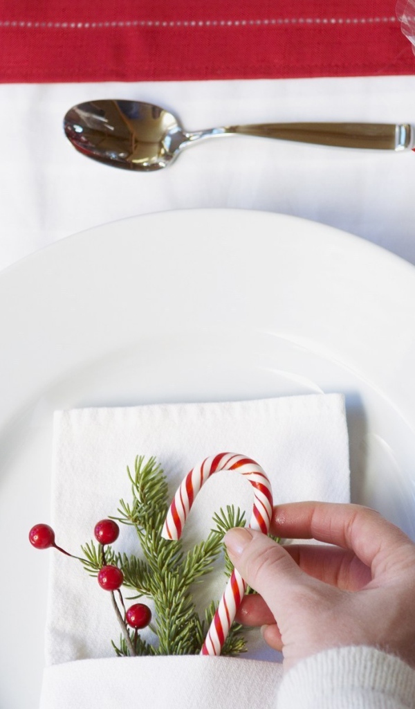 Украшение рождественского стола