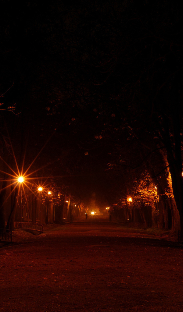 Аллея в огнях