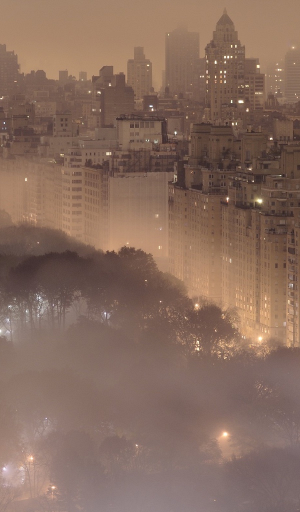 Город в тумане