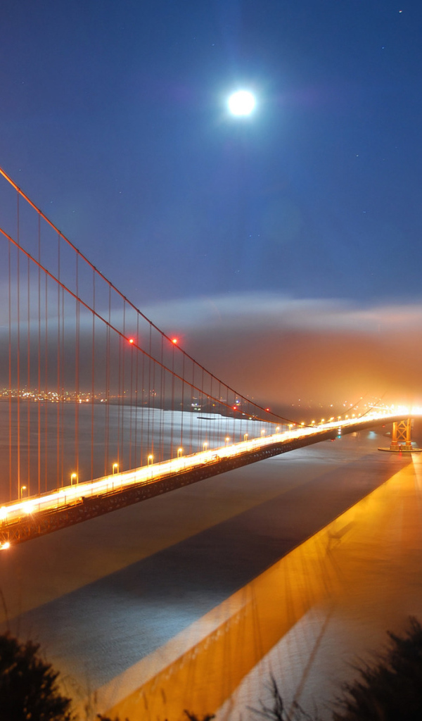 Золотые ворота