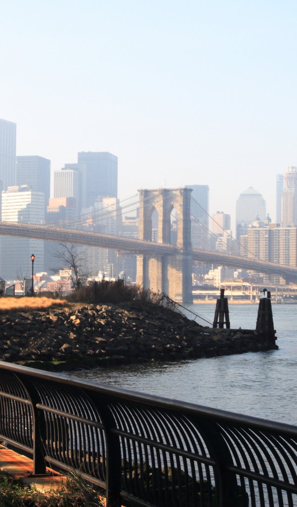 Жизнь под мостом