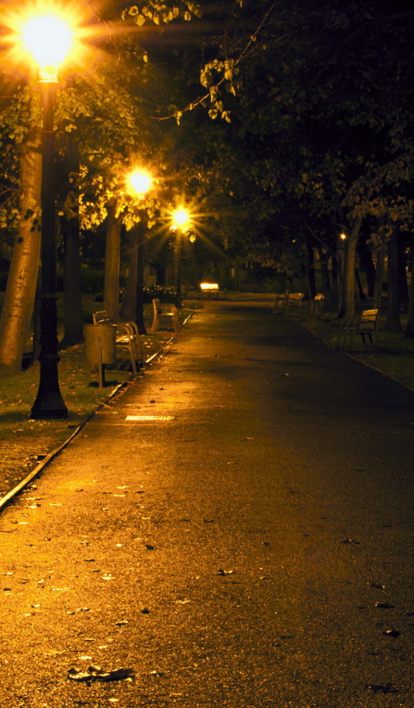 Ночная аллея