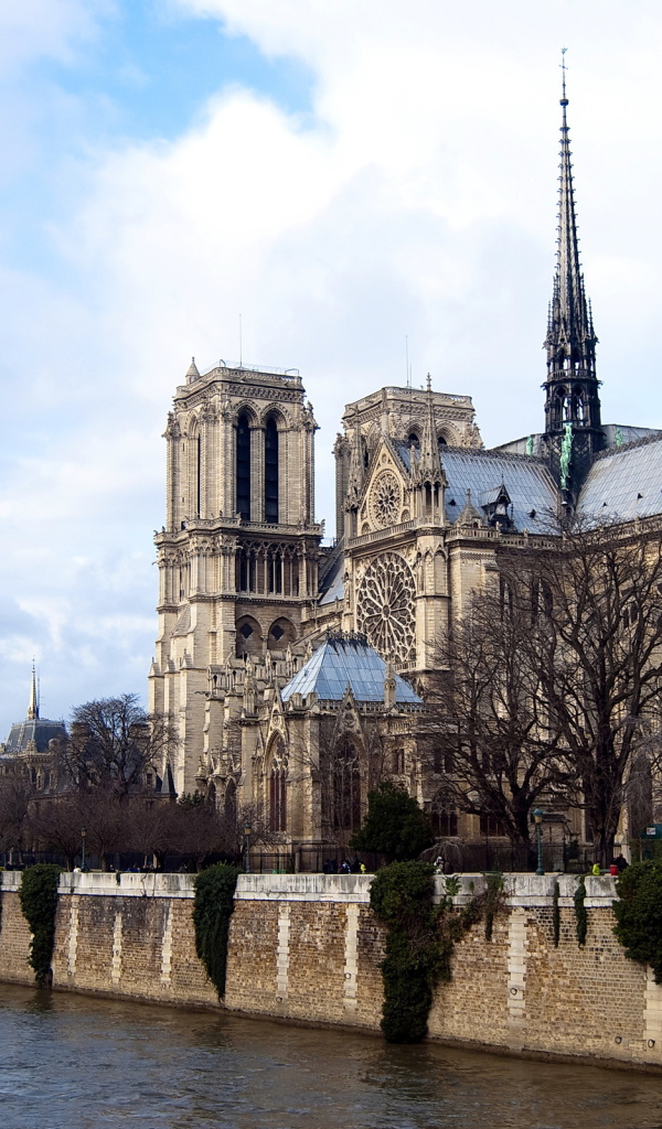 Собор парижской богоматери