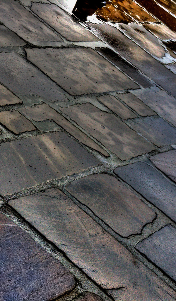 Мостовая после дождя