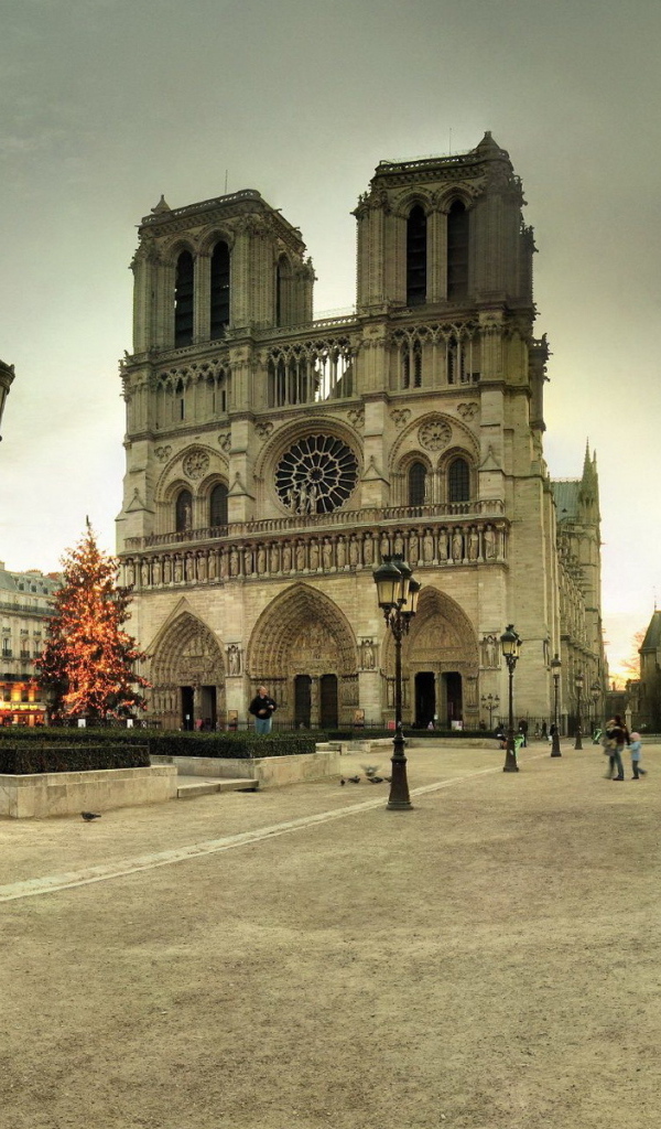 Собор Нотр-Дам де Пари, Париж