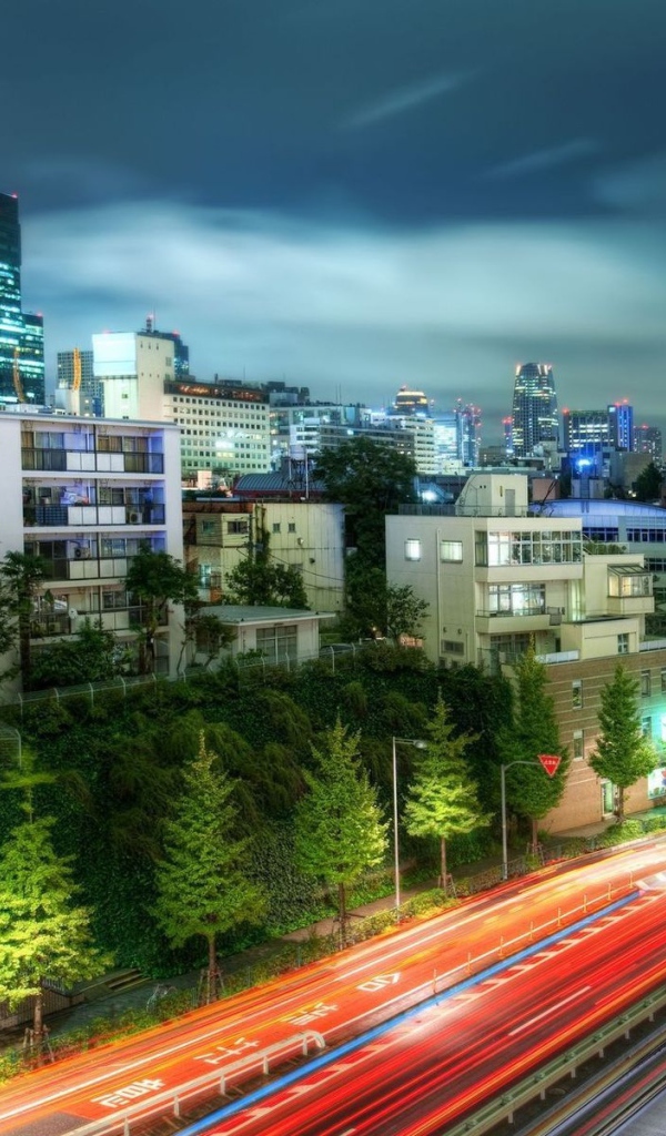 ночной Токио