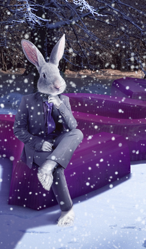 2011 Год зайца