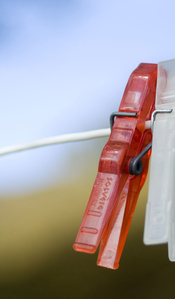 Любовь прищепки