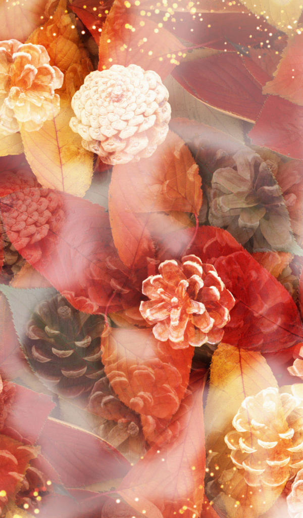 Шишки и листья