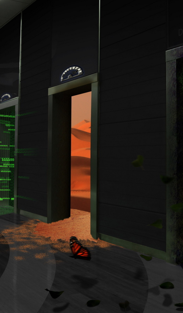 Двери в разные миры