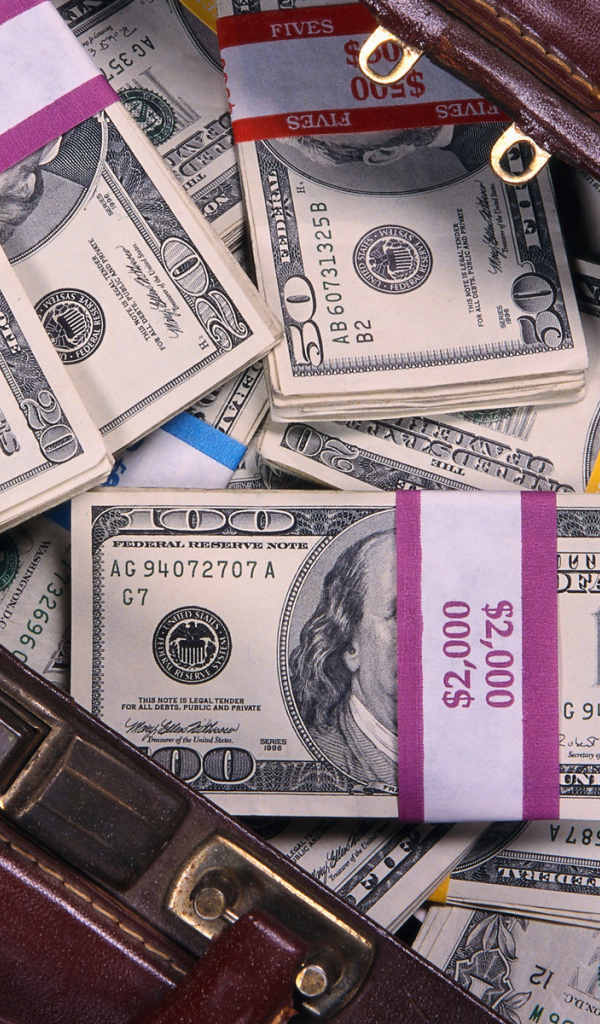 Денежная сумка