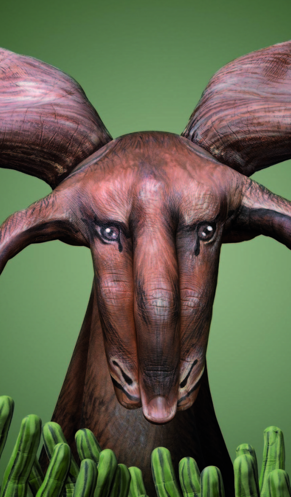 Лось из рук