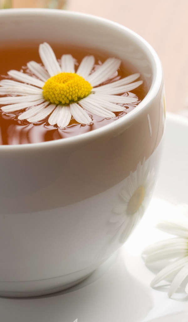 Чай с ромашкой