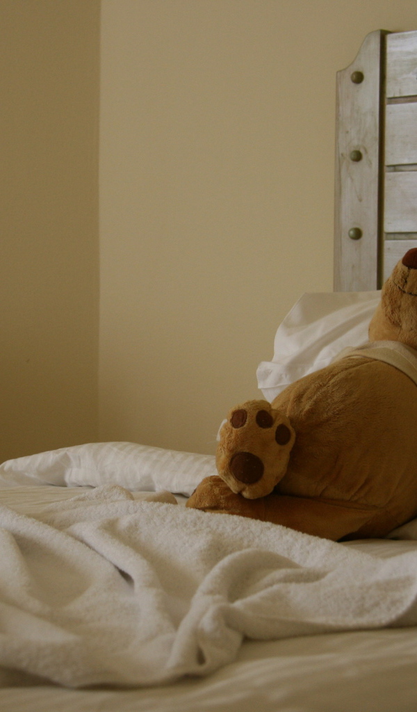 Мишка отдыхает