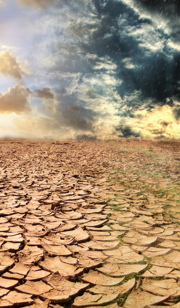 Сезон засухи  и сезон дождей