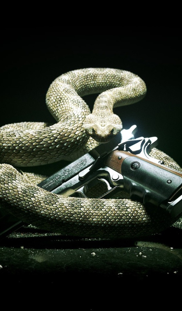 The snake and the gun