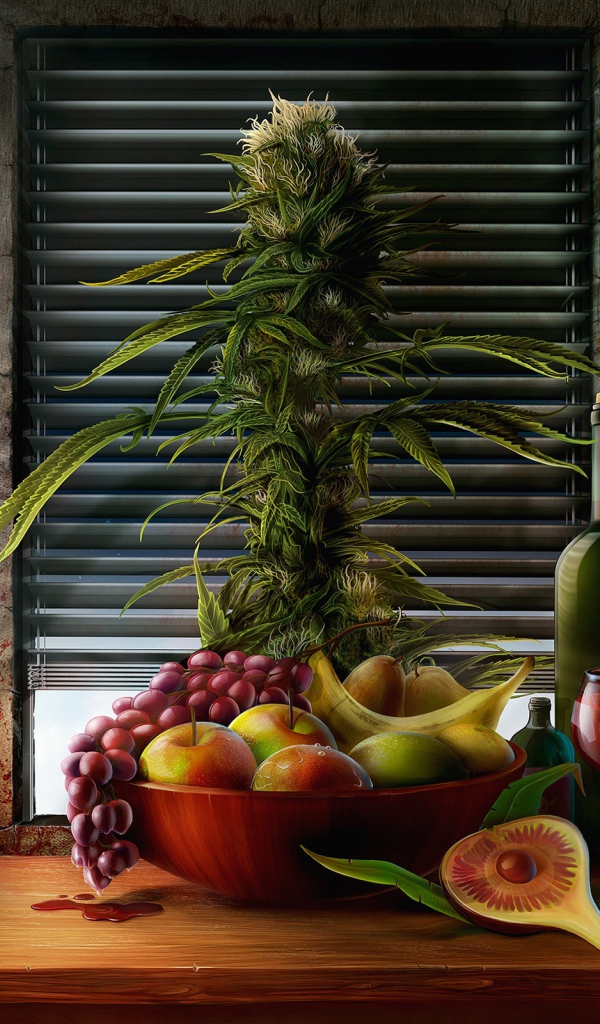 Фрукты и травка