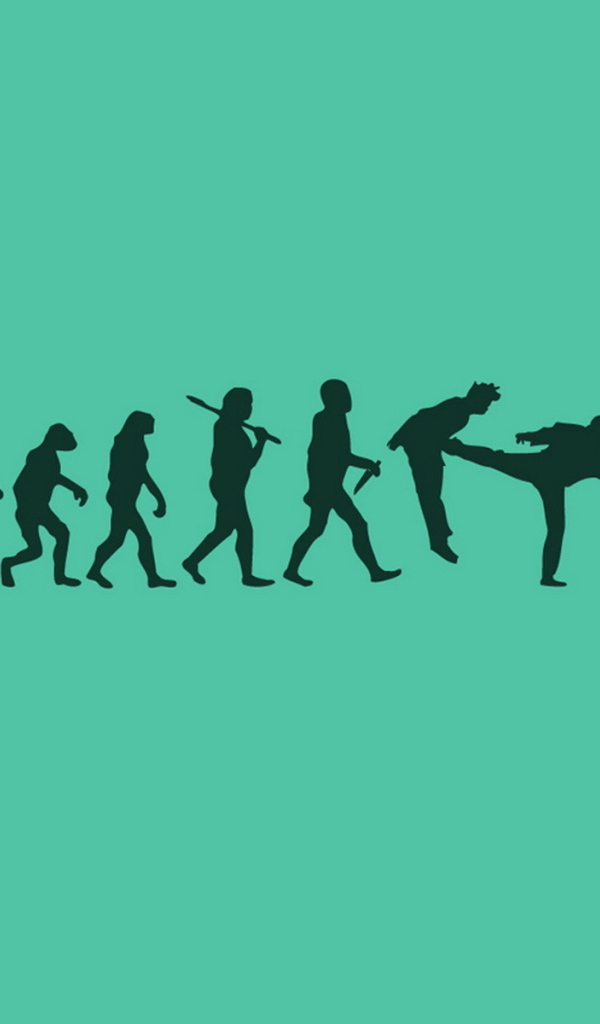 Чак Норрис Вырождение