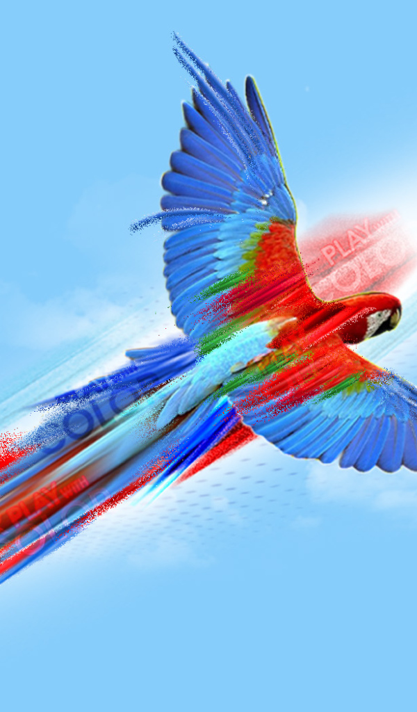 Попугай картина